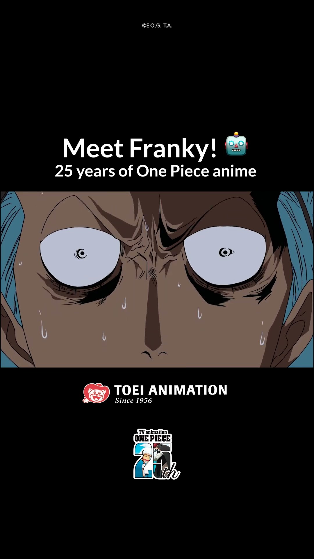 It's time to Meet Franky ☀️